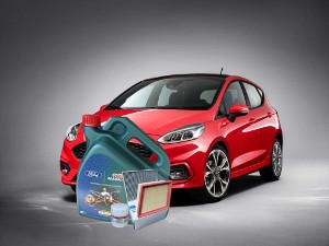 Комплект "ТО-2 Фиеста/B-Max Экобуст полный"